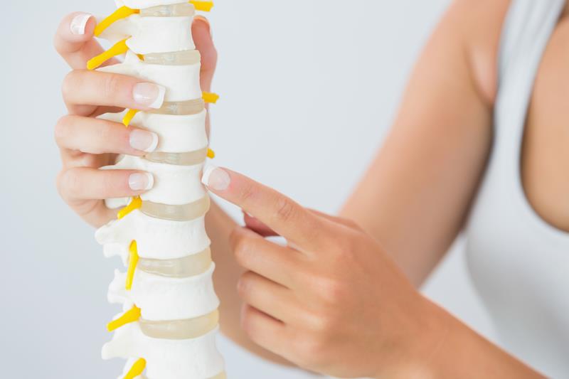 about our chiropractic office Collegedale, TN